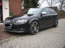 Audis_3