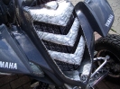 Raptor 660_12